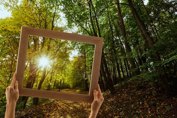 Door een lijst heen die je het bos en de zon.
